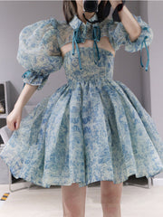 French Blue Floral Dress Female Celestial