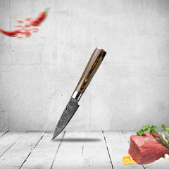 Laser pattern chef knife stainless steel – style A B C D E F options