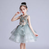 Mesh princess dress