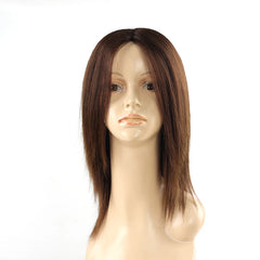 Straight Human Hair Wigs Middle Part Remy Brazilian 100% Natural Human Hair Wigs Brown Color 12" Long Layered Trendy wig