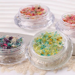 Nail Art DIY Decorations Dried Flower Decorations For Nails Art Flower Beauty Salon Decor