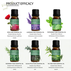 Essential Oils for Diffusers Lavender Eucalyptus Tea Tree Peppermint Rosemary Mint Bergamot Lemon Rose Pure Essential Oil 10ml