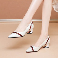 Women Pumps Spring Autumn Soft Leather Thick Middle Heel Shoes for Women Professional Shallow Mouth Pointed Toe Women's Shoes