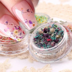 Nail Art DIY Decorations Dried Flower Decorations For Nails Art Flower Beauty Salon Decor