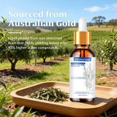 Tea Tree Essential Oil ,100% Pure Nature for Aromatherapy, Diffuser, Humidifier, Woody, Relieving Stress,Massage Muscle