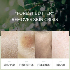 Face Skin Care Day Creams Moisturizers Avocado Deep Hydration Face Cream Anti-aging Anti Wrinkles Lifting Facial Firming Women