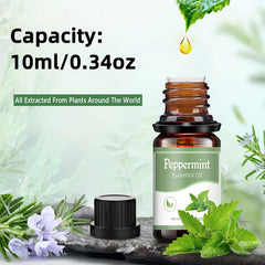 18 Flavors Essential Oils for Aroma Diffuser Air Humidifier Home Water-soluble 10ml Air Freshener Scents Fragrance Oil Perfume