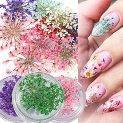 1 Box Nail Charms Exquisite 3D Effect Nail Art Decorations Natural Dried Flower Nails Art Decorations Nail Supplies