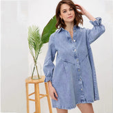 Women's Fashion Loose Lantern Sleeve Shirt