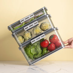 Refrigerator storage box food grade PET – grey yellow color options detail