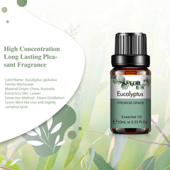 PHATOIL Natural Plant Essential Oil 10ml Eucalyptus Lavender Bergamot Vanilla Peppermint 1PCS Aroma Essential Oils For Diffuser