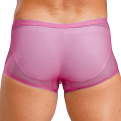 Mens Lingerie Ultra Thin Ice Silk Underwear Low Waist Bulge Pouch Sheer Shorts Underwear Mesh Breathable Boxer Briefs Underpants
