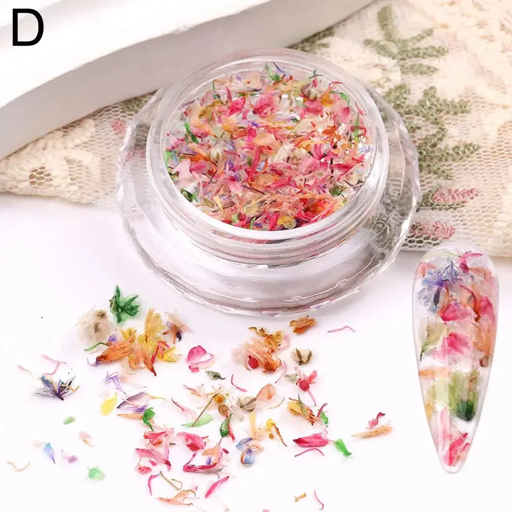 Nail Art DIY Decorations Dried Flower Decorations For Nails Art Flower Beauty Salon Decor