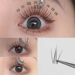 6 Rows Of Glue-Free False Eyelashes In A Single Cluster, Natural And Curled For Comfortable Wearfalse Eyelashes Eye Make-Up