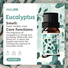 Eucalyptus Essential Oils 10ml Eucalyptus Oil For Diffusers,Hair,Skin Care,Aromatherapy,Body Massage,Soap And Candle Making
