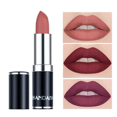 Matte Pink Velvet Lipstick Sexy Nude Red Brown Purple Lipgloss Gloss Velvety Lipstick Waterproof Makeup Long Lasting Lipstick