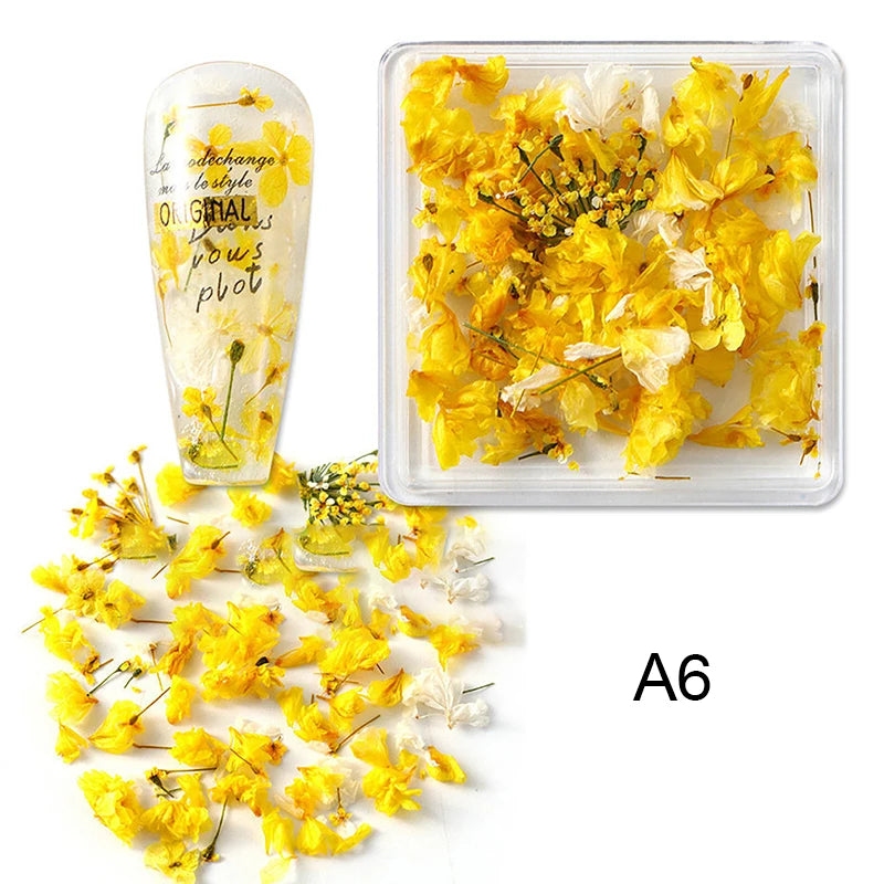 Nail Art Flower Decoration Delicate 3D Dried Flower Nail Charms Art Stickers Nail Art Beauty For Charms Accessories