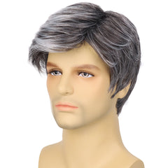 Synthetic Men Wigs Short Silver Gray Wig Synthetic Heat Resistant Natural Halloween Cosplay Christmas gifts Hair Wig