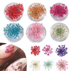 1 Box Nail Charms Exquisite 3D Effect Nail Art Decorations Natural Dried Flower Nails Art Decorations Nail Supplies
