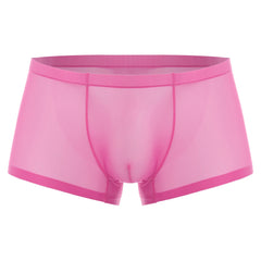 Mens Lingerie Ultra Thin Ice Silk Underwear Low Waist Bulge Pouch Sheer Shorts Underwear Mesh Breathable Boxer Briefs Underpants