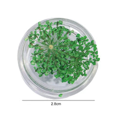 1 Box Nail Charms Exquisite 3D Effect Nail Art Decorations Natural Dried Flower Nails Art Decorations Nail Supplies