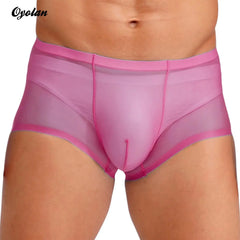 Mens Lingerie Ultra Thin Ice Silk Underwear Low Waist Bulge Pouch Sheer Shorts Underwear Mesh Breathable Boxer Briefs Underpants