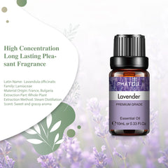 PHATOIL Natural Plant Essential Oil 10ml Eucalyptus Lavender Bergamot Vanilla Peppermint 1PCS Aroma Essential Oils For Diffuser