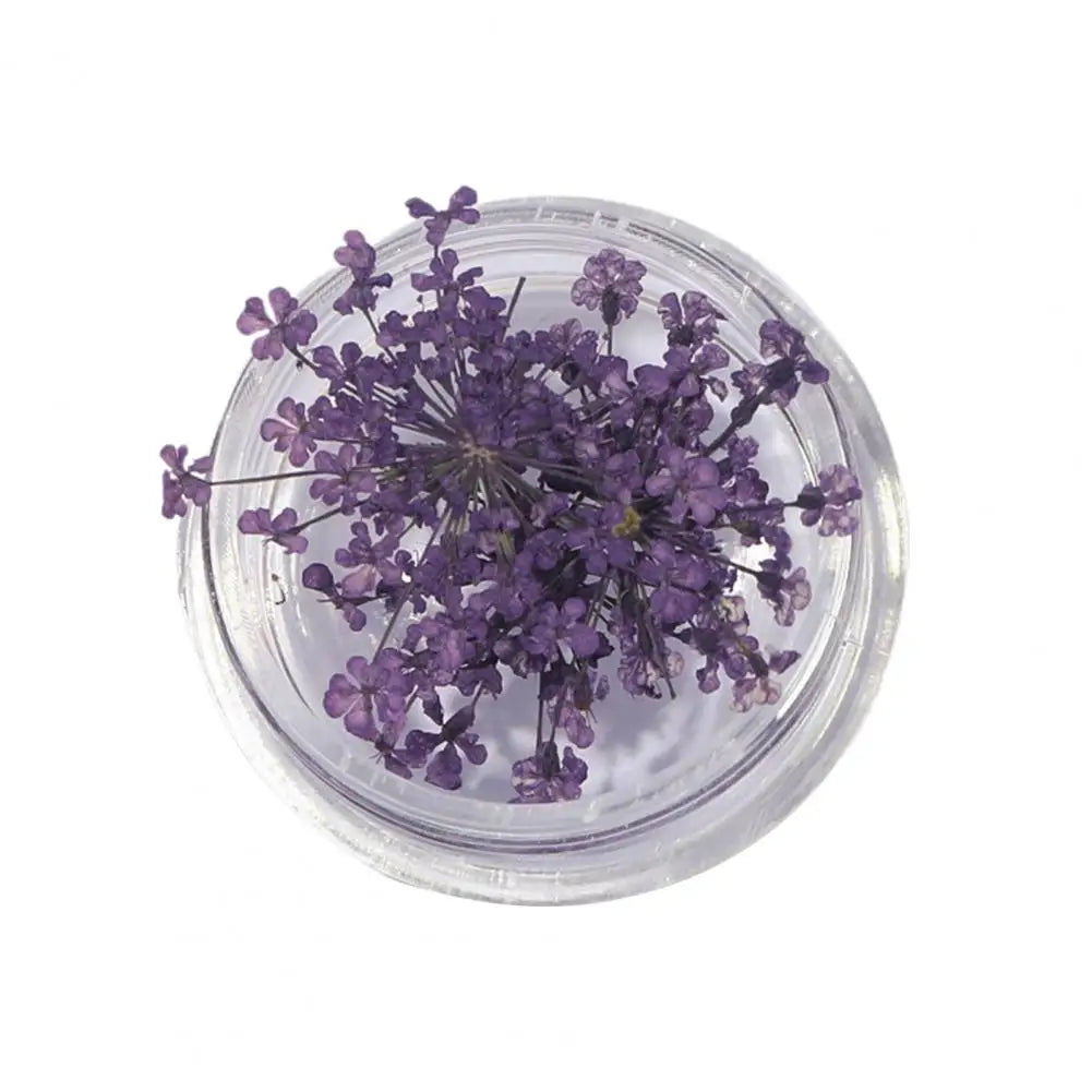 1 Box Nail Charms Exquisite 3D Effect Nail Art Decorations Natural Dried Flower Nails Art Decorations Nail Supplies