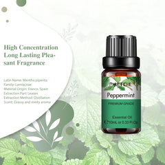 PHATOIL Natural Plant Essential Oil 10ml Eucalyptus Lavender Bergamot Vanilla Peppermint 1PCS Aroma Essential Oils For Diffuser