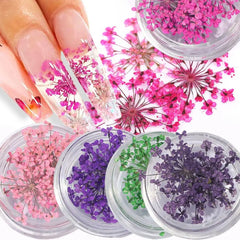 1 Box Nail Charms Exquisite 3D Effect Nail Art Decorations Natural Dried Flower Nails Art Decorations Nail Supplies