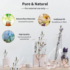 EUQEE Pure Essential Oil Lemon Eucalyptus Neroli Lavender Vanilla Sandalwood 10ml Aroma Oils with Dropper For Diffuser Humidifie