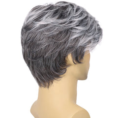 Synthetic Men Wigs Short Silver Gray Wig Synthetic Heat Resistant Natural Halloween Cosplay Christmas gifts Hair Wig